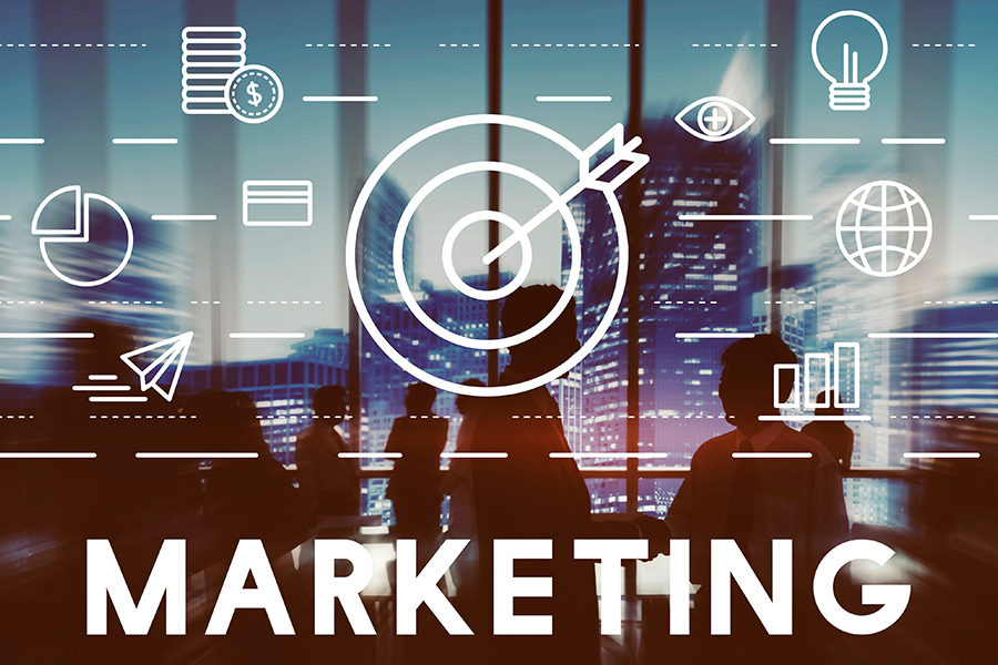 Consulting Services